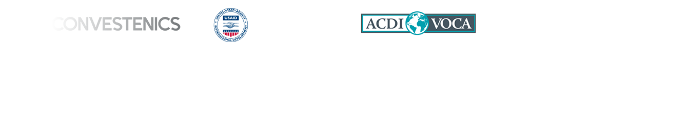 Institutional partners 